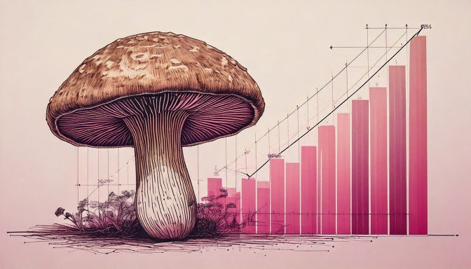 Why AHCC Tests High in Alpha-Glucans — And Why That’s a Good Thing
