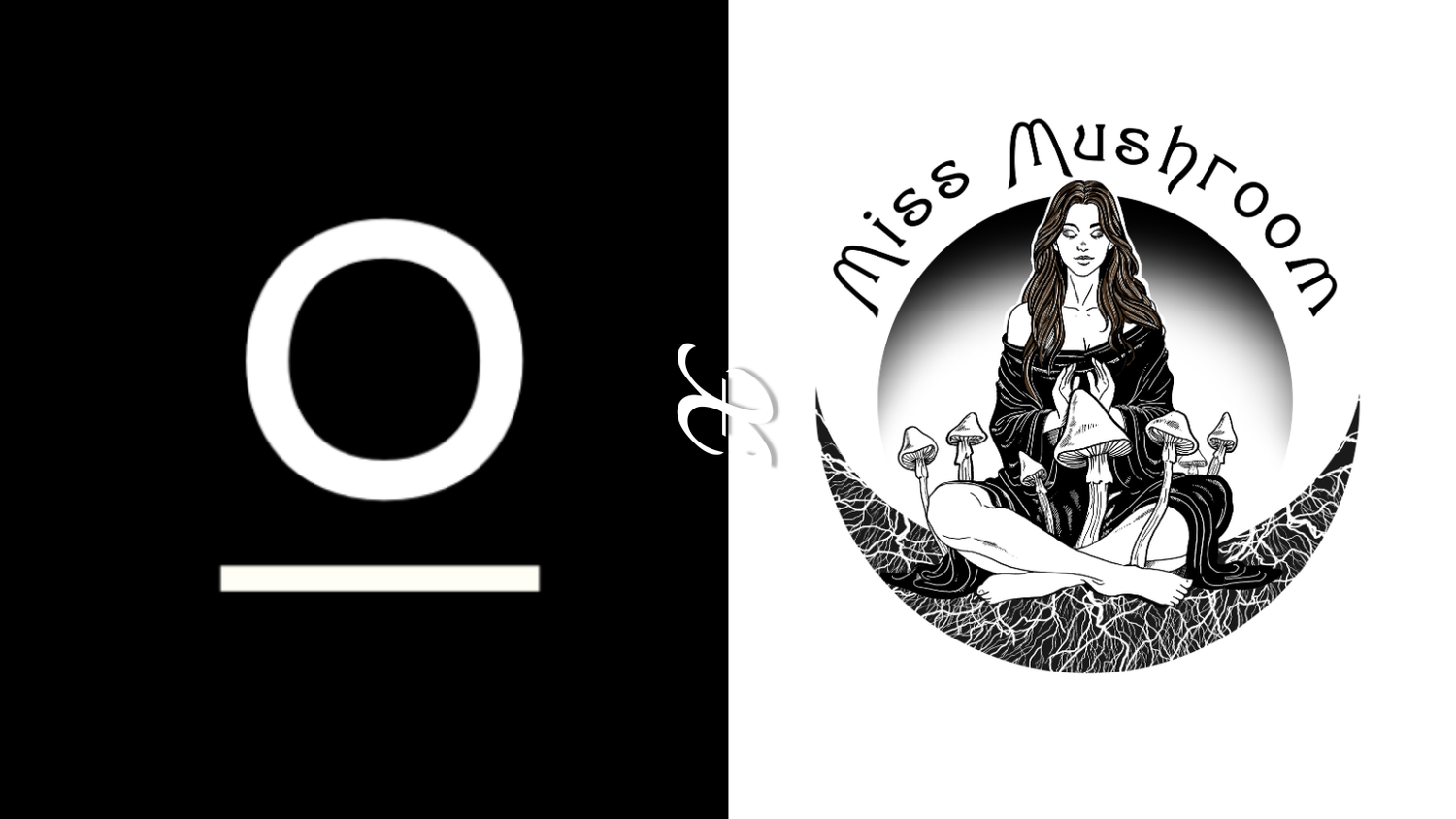 Miss Mushroom x Antioxi Collaboration