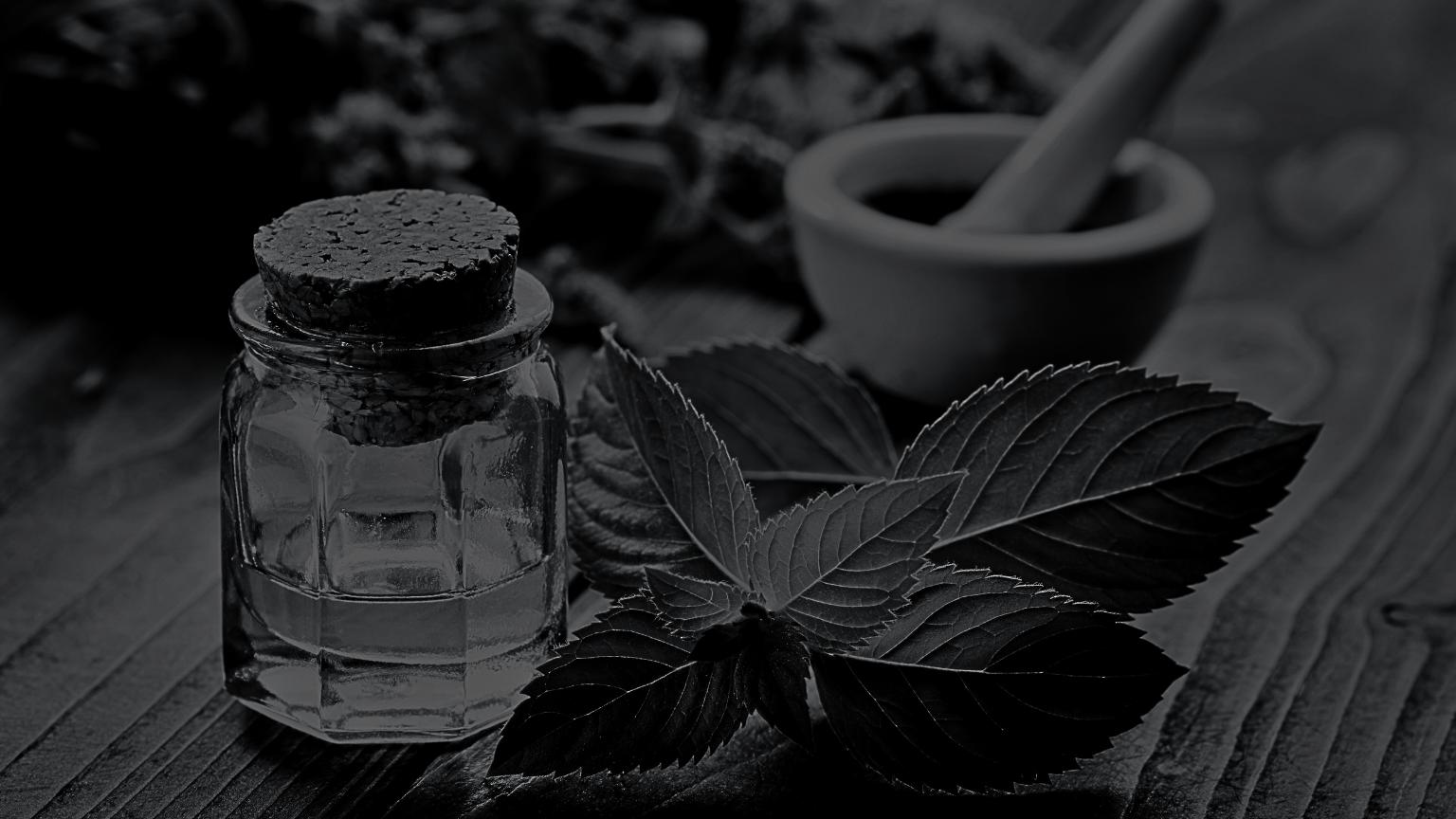 Are Mushroom Tinctures Safe for Pets? | Dogs, Cats & Antioxi Standards