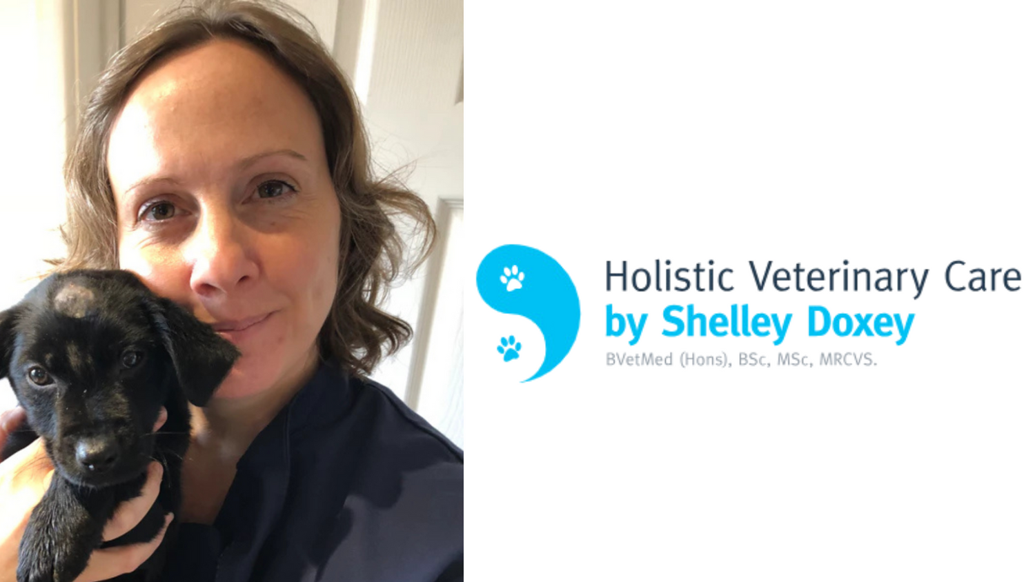 Dr. Shelley Doxey: Advocate for Pet Wellness | Antioxi