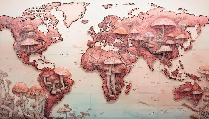 Unveiling the Origins of Our Mushrooms