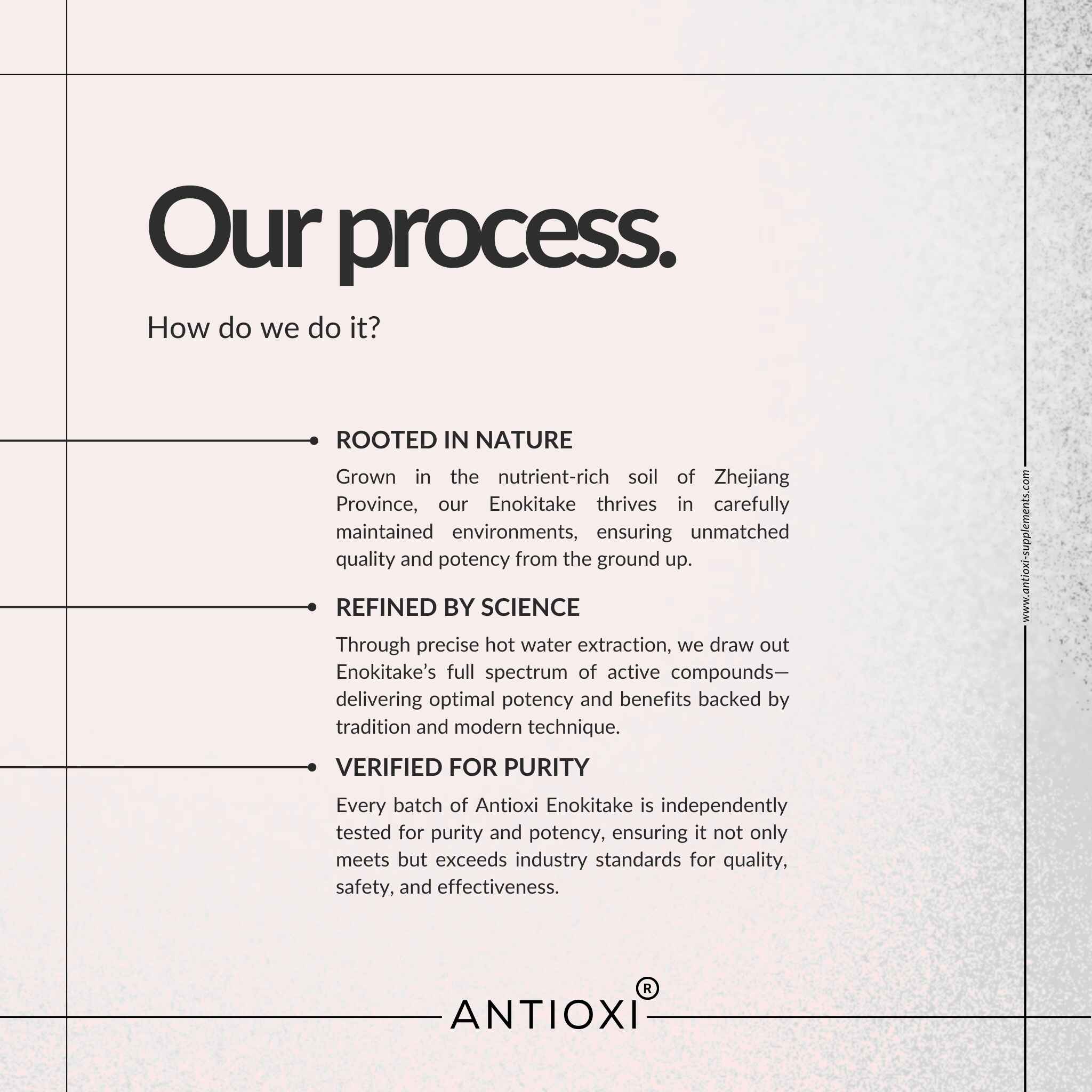 Enokitake (Flammulina velutipes)