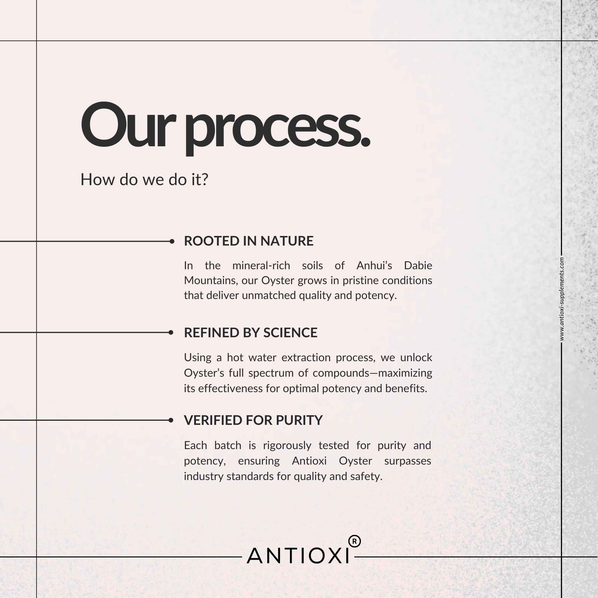 Oyster (Pleurotus ostreatus)