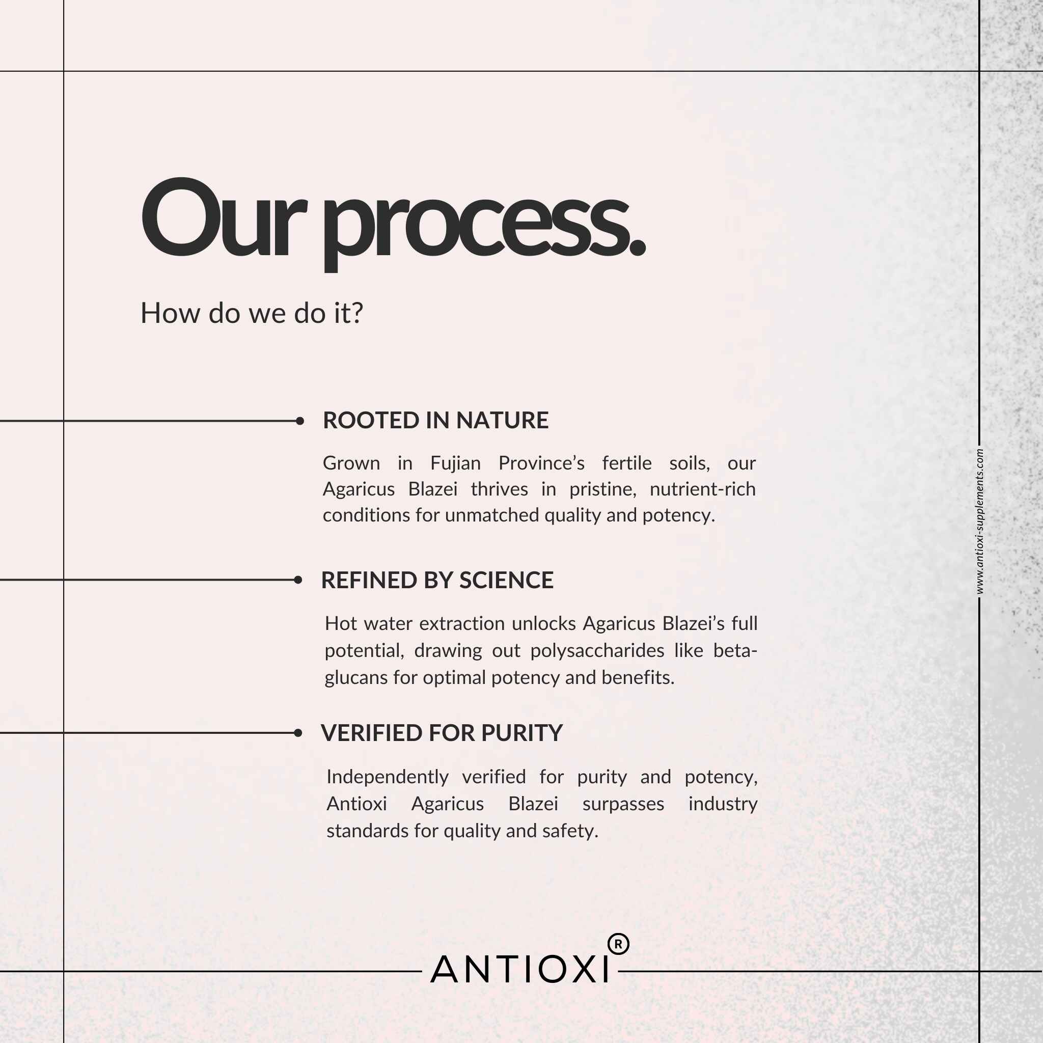 Agaricus Blazei Murrill