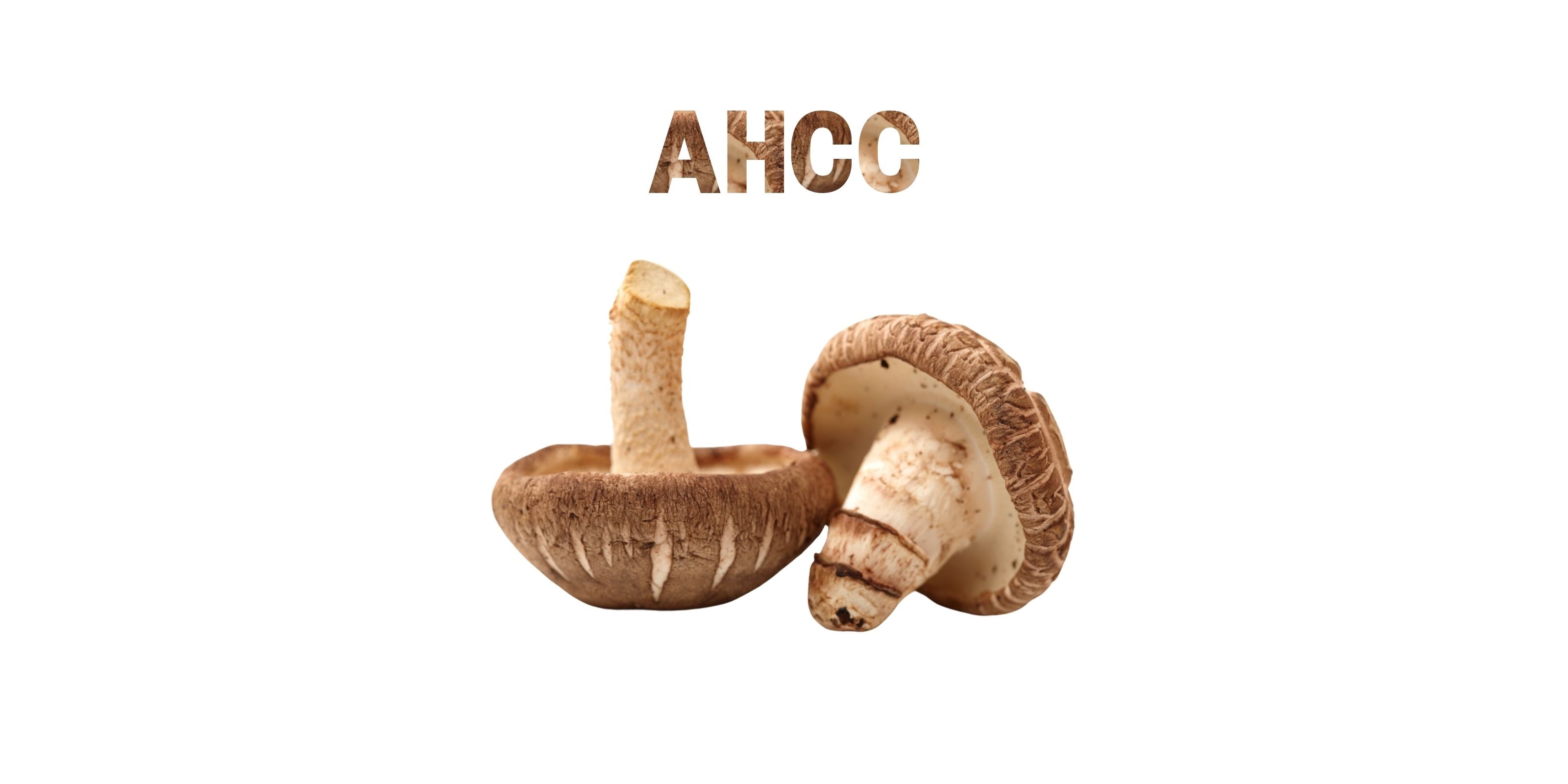 AHCC shown with Shiitake mushrooms in focus, paired with textured title on clean white background.