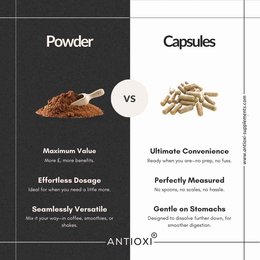 Chaga (Inonotus obliquus)
