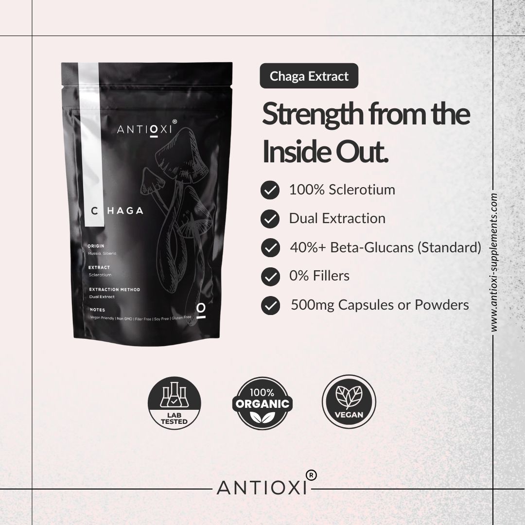 Chaga (Inonotus obliquus)