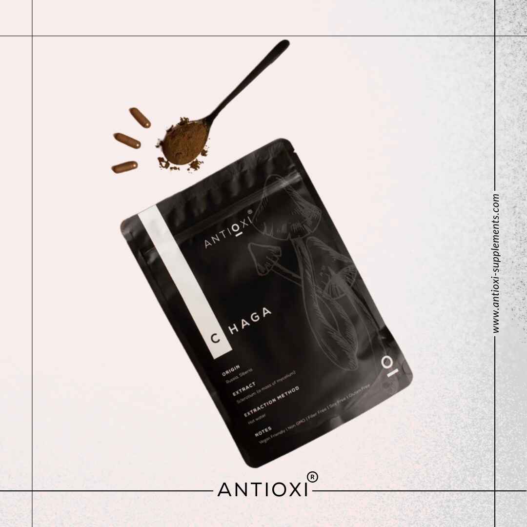 Chaga (Inonotus obliquus)