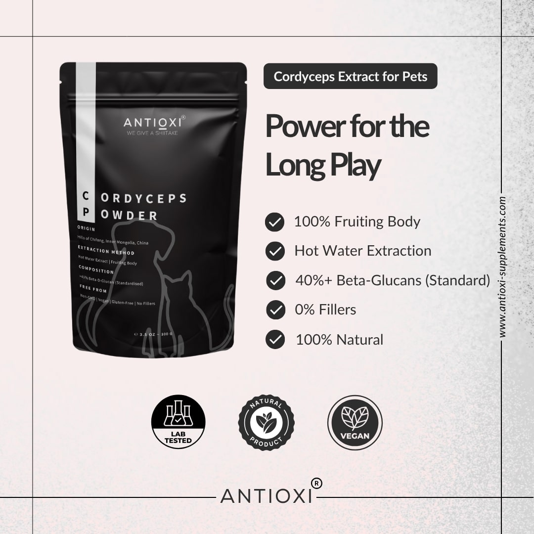 Cordyceps | Pets