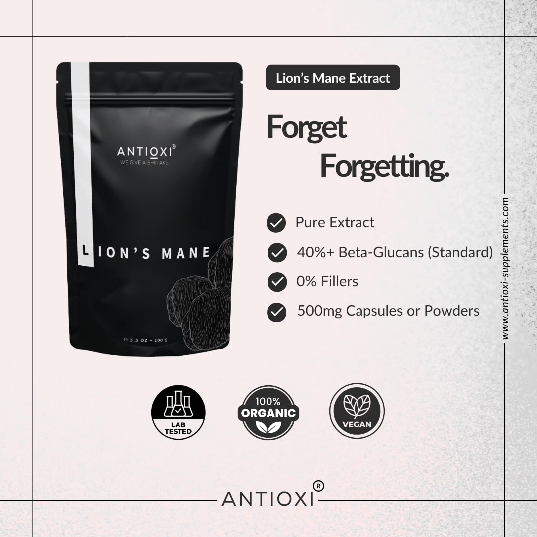 Lion's Mane (Hericium erinaceus)