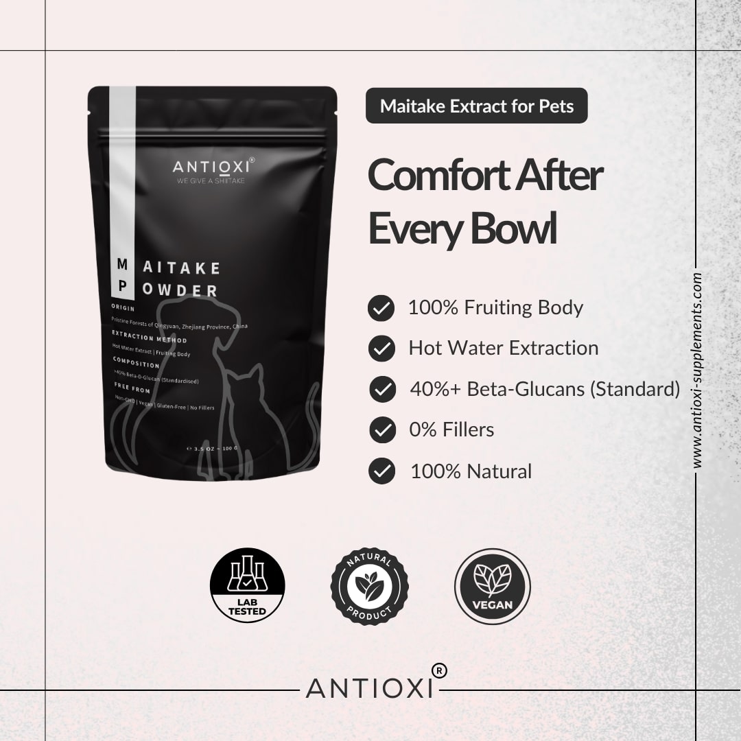 Maitake | Pets
