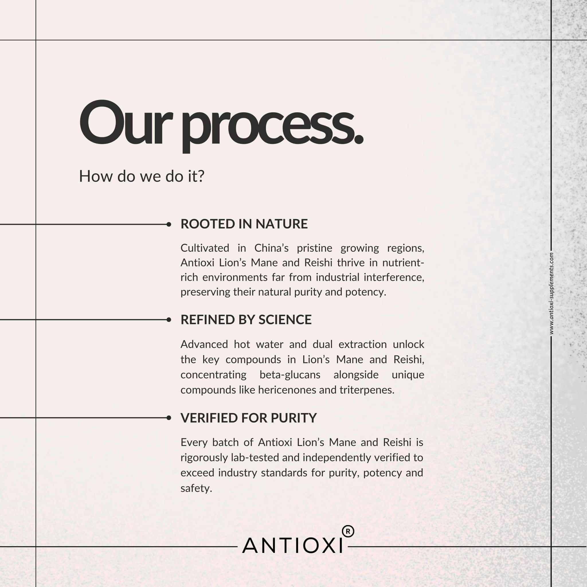 Antioxi Mind and Mood mushroom supplement bundle process showing sourcing, extraction and purity testing of Reishi and Lion's Mane mushrooms.