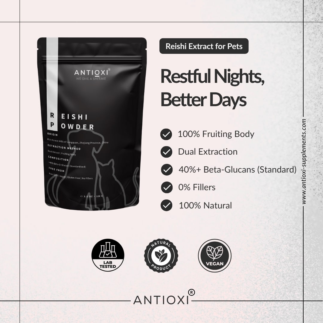 Reishi | Pets