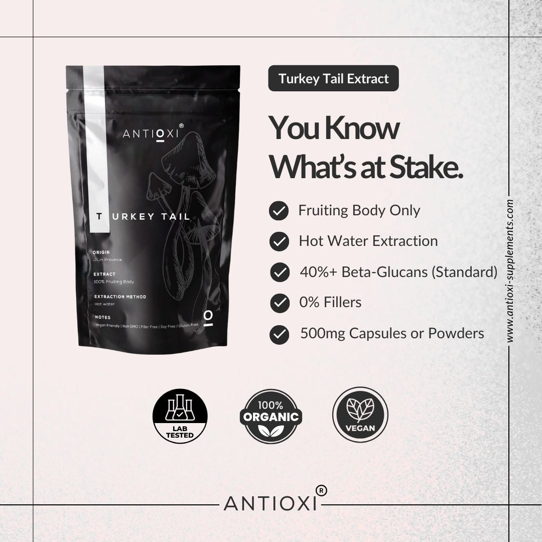 Turkey Tail (Coriolus versicolor)