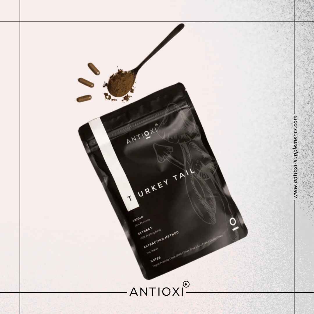 Turkey Tail (Coriolus versicolor)