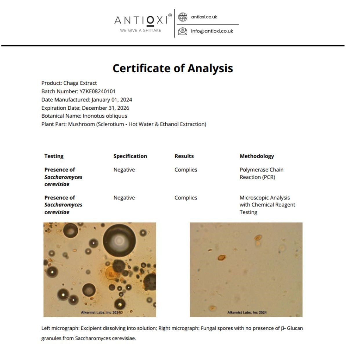 Certificate of analysis for Antioxi's Chaga Extract, showing negative results for the presence of Saccharomyces cerevisiae, confirmed through Polymerase Chain Reaction (PCR) and Microscopic Analysis, ensuring the absence of this contaminant.