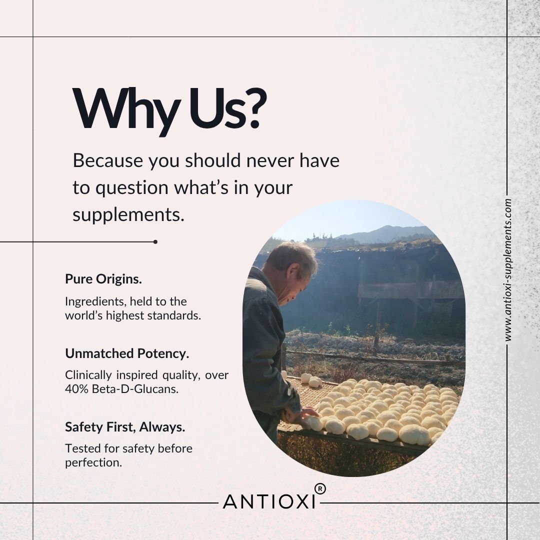 Antioxi porio cocos mushroom supplement origin & quality benchmarks