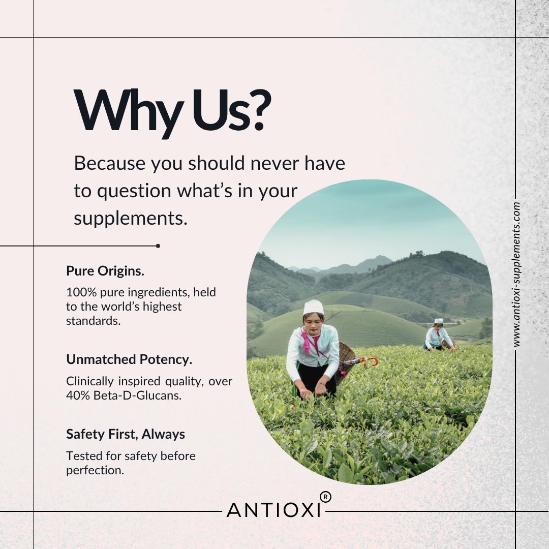 Mushroom Coffee | Rise (Boost)