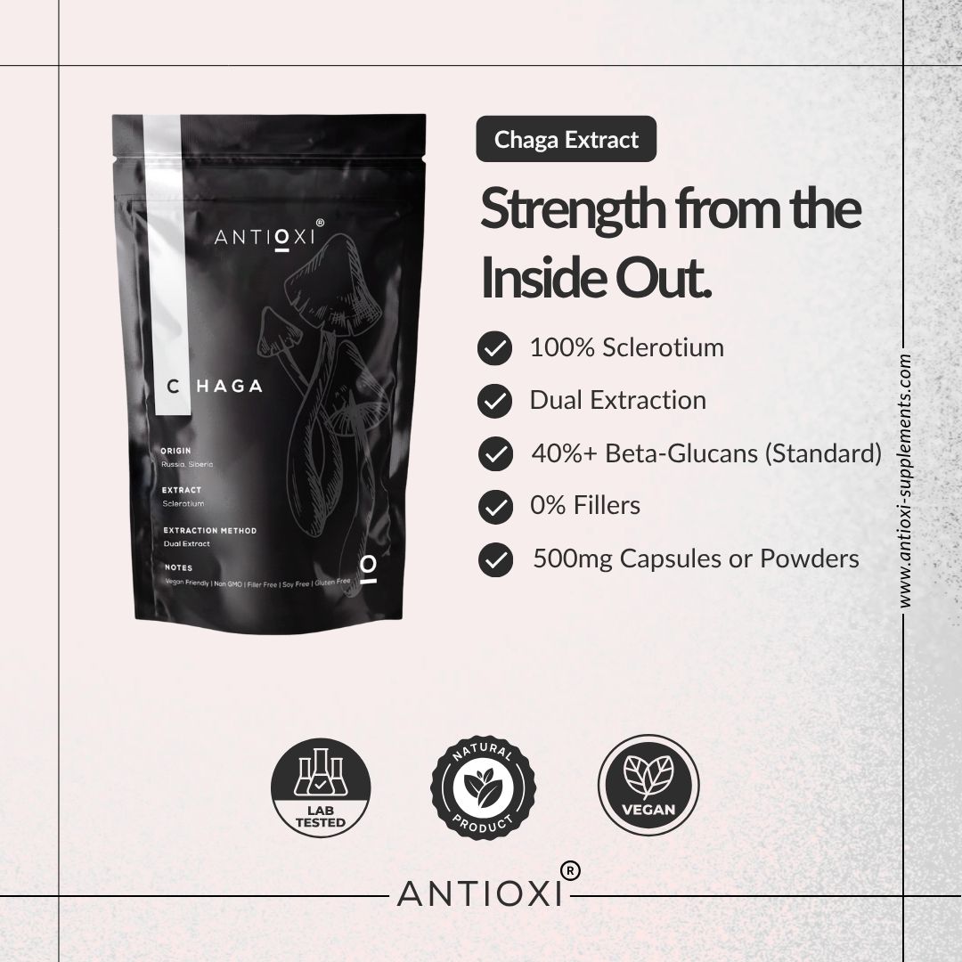 Chaga (Inonotus obliquus)