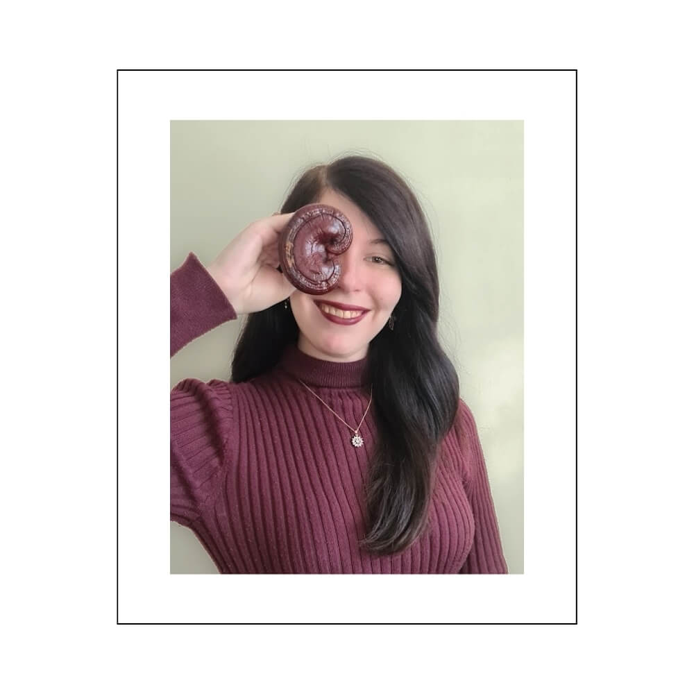 Antioxi Mushroom Supplements Operations & B2B - Elanda