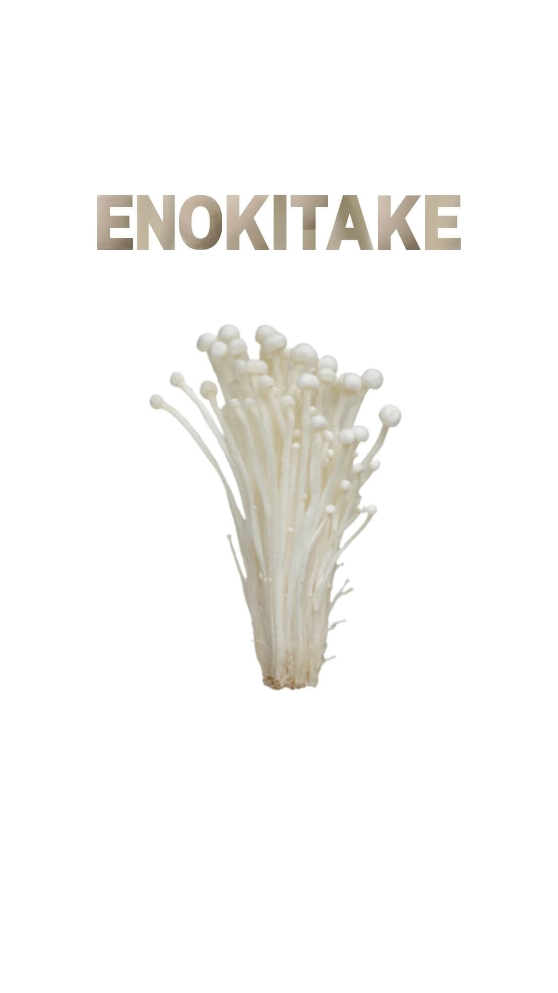 Enokitake mushroom with stylized ENOKITAKE text on white background for supplement product use.
