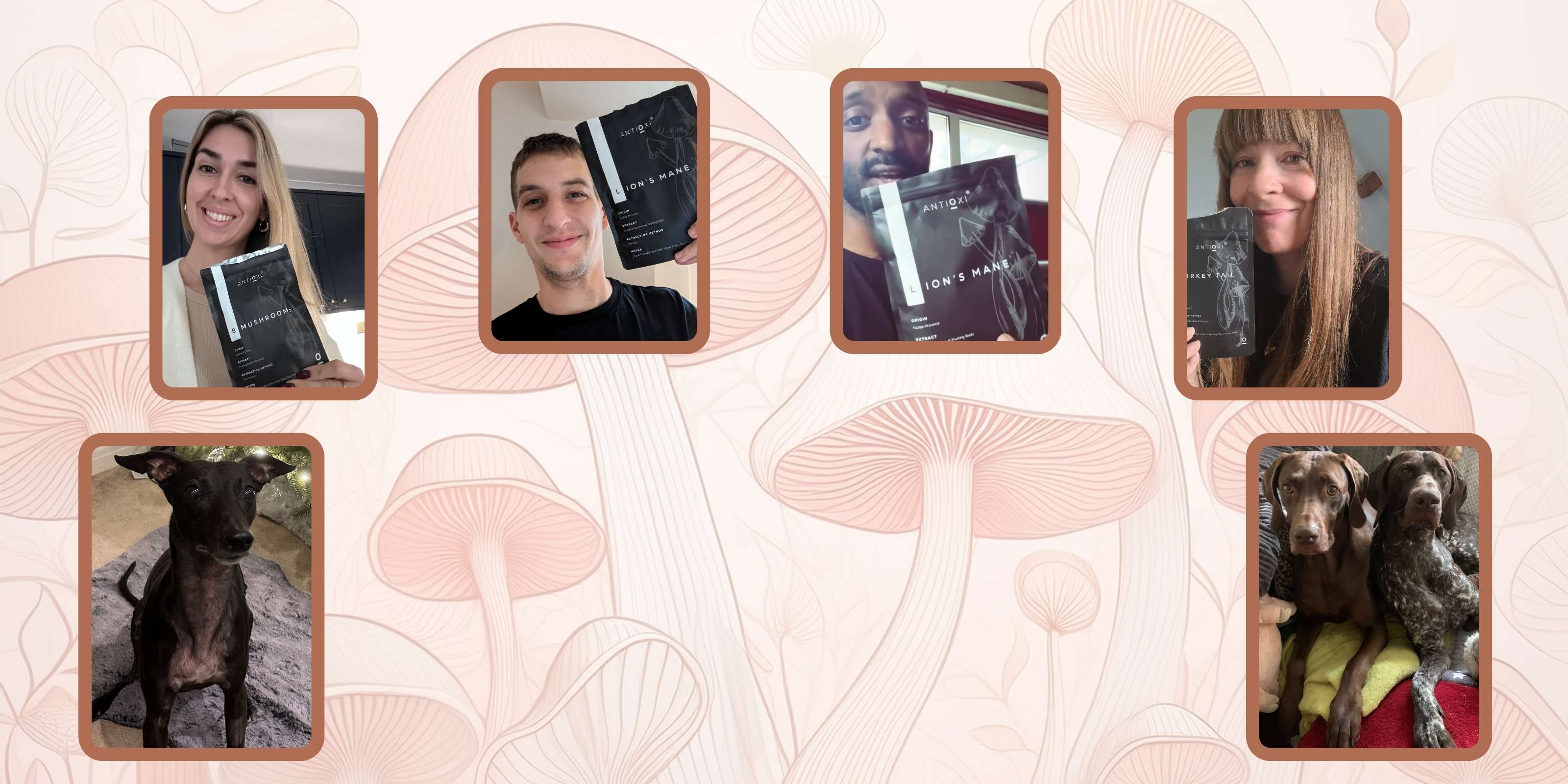 Customer and pet photos holding Antioxi mushroom supplements, including Lion’s Mane and Turkey Tail