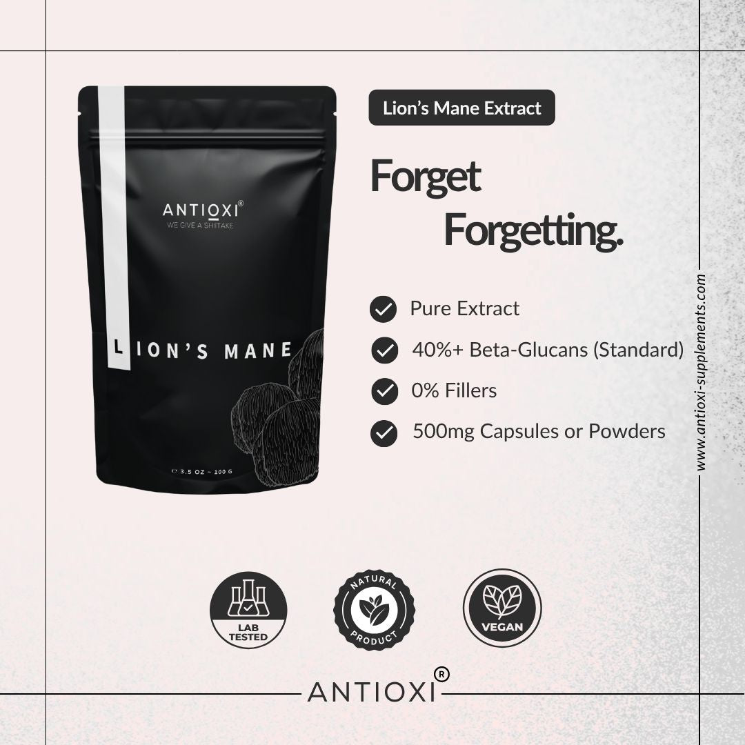 Lion's Mane (Hericium erinaceus)