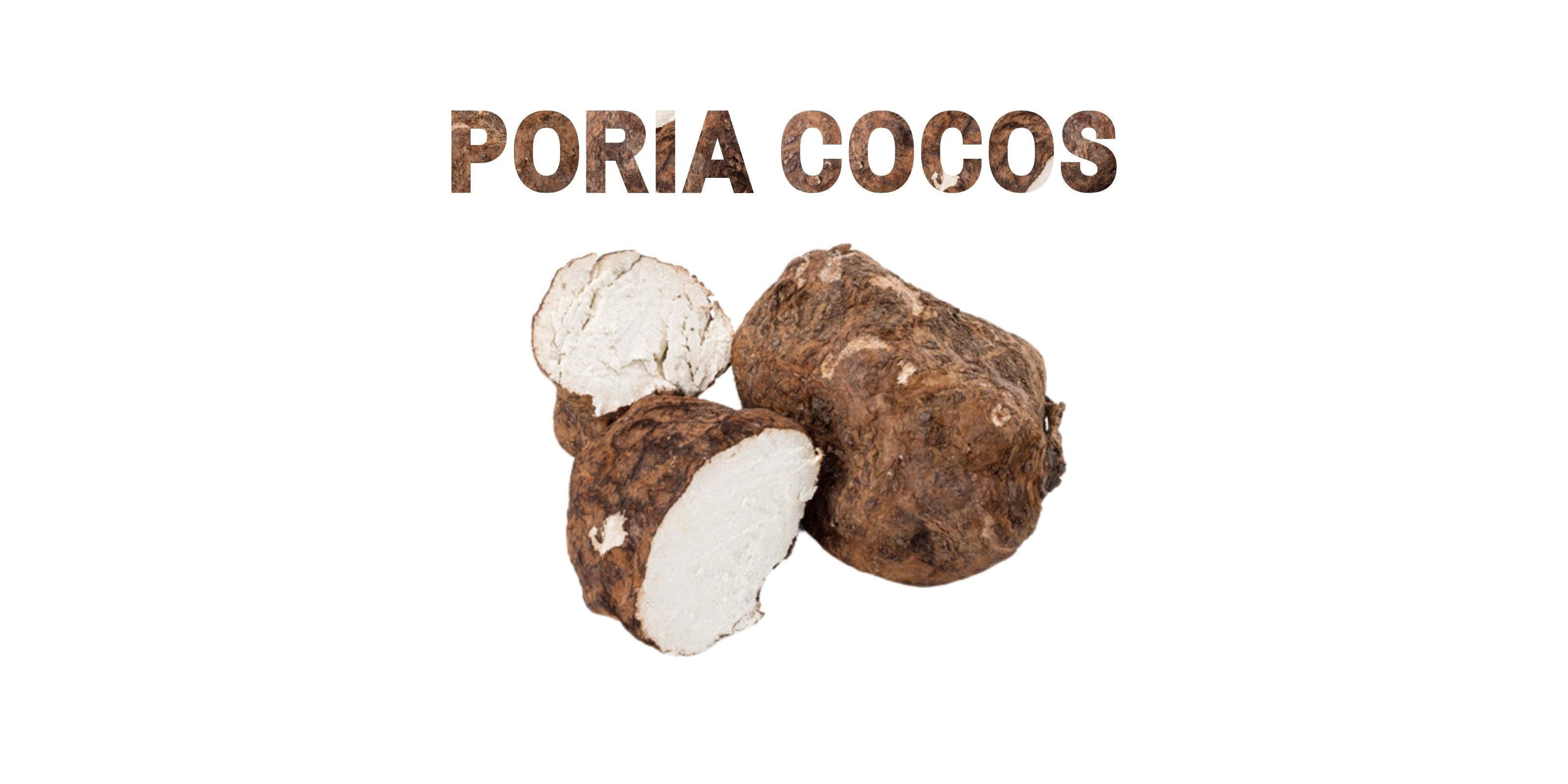 Poria cocos mushroom slices for kidney, digestion, and fluid balance support.