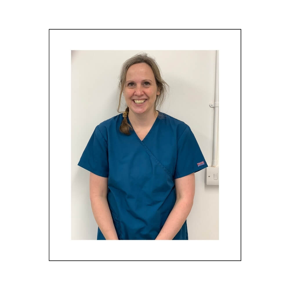 Antioxi Mushroom supplements for pets - board of specialists - herbal vet