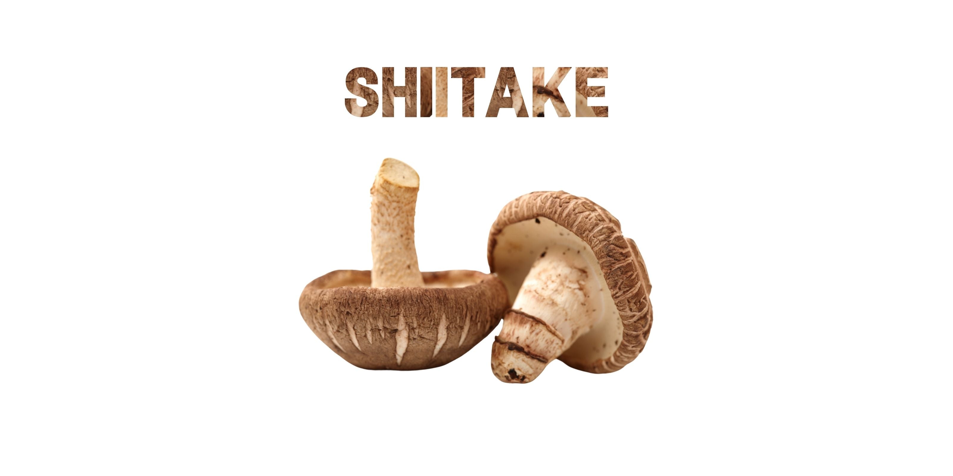 Shiitake mushrooms with bold SHIITAKE text, isolated on white background for product display.