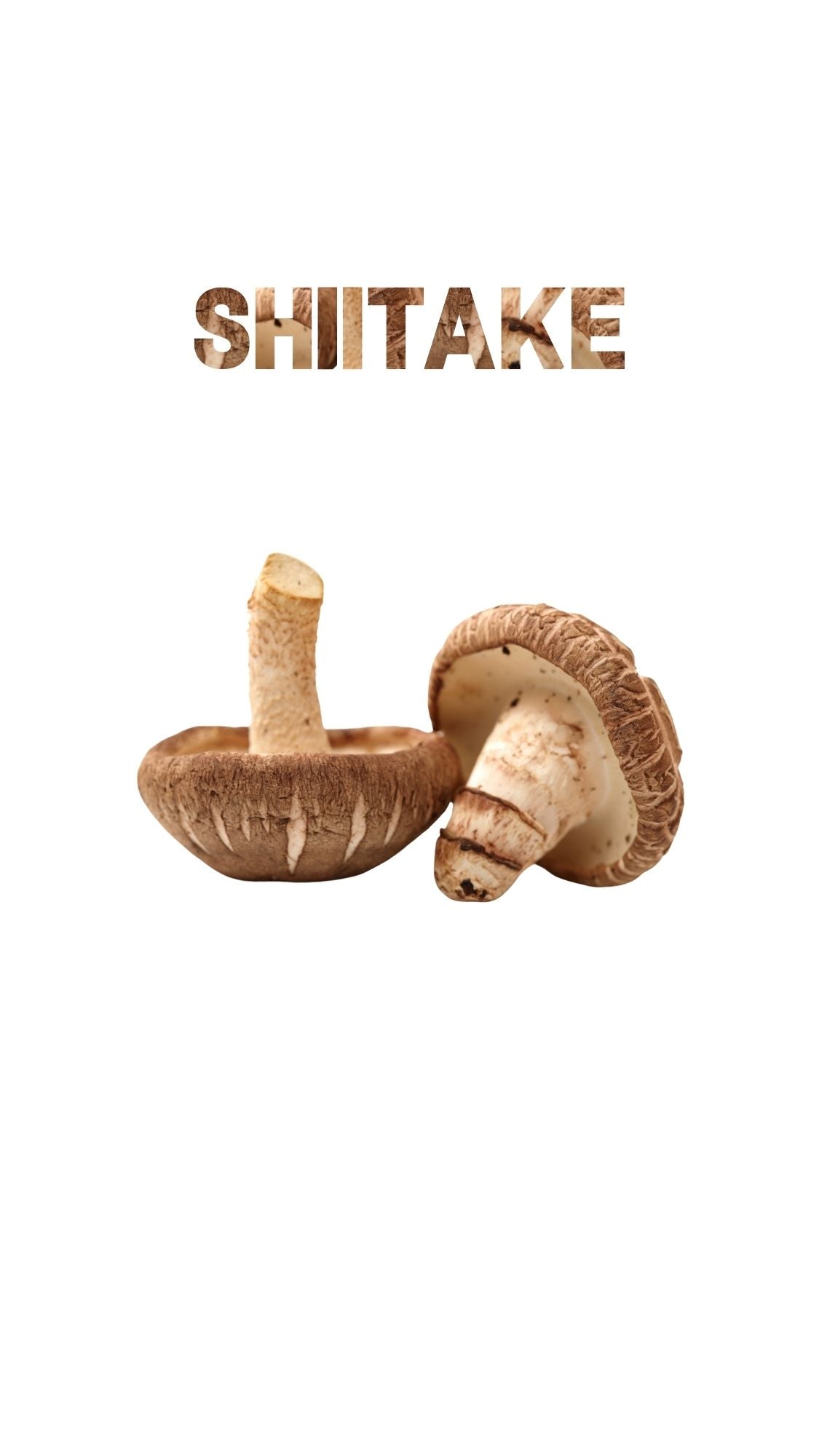 Shiitake mushrooms with text overlay, showcasing whole dried mushrooms on a white background.