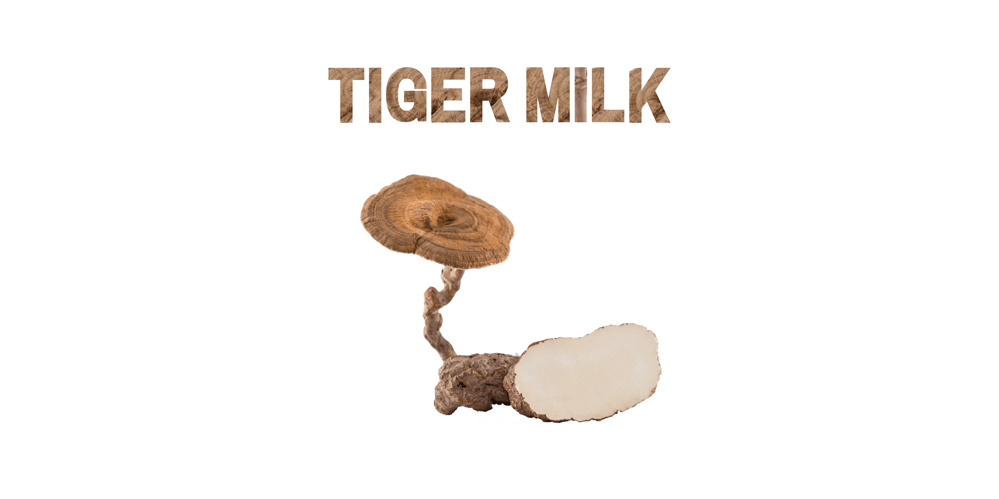 Tiger Milk mushroom with earthy textured title on white background, showing whole and sliced view