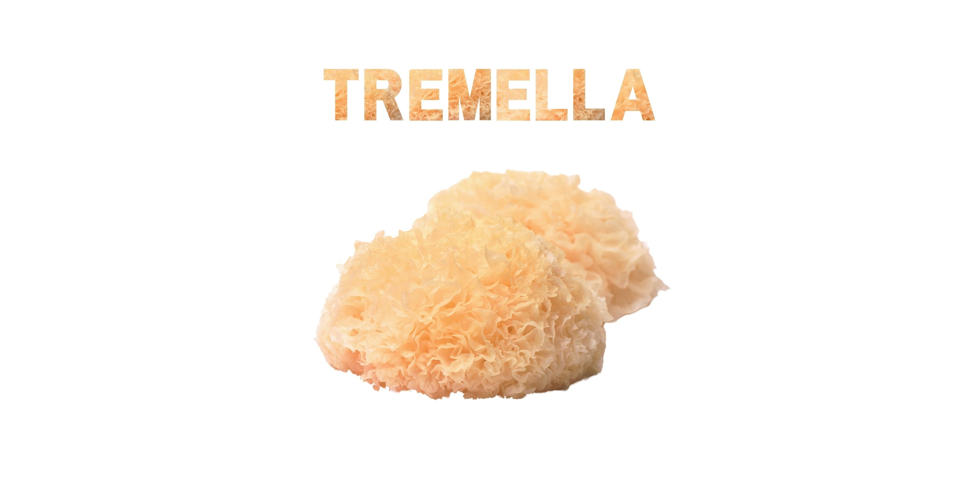 Tremella mushroom with textured lettering, known for skin hydration and beauty-enhancing benefits.