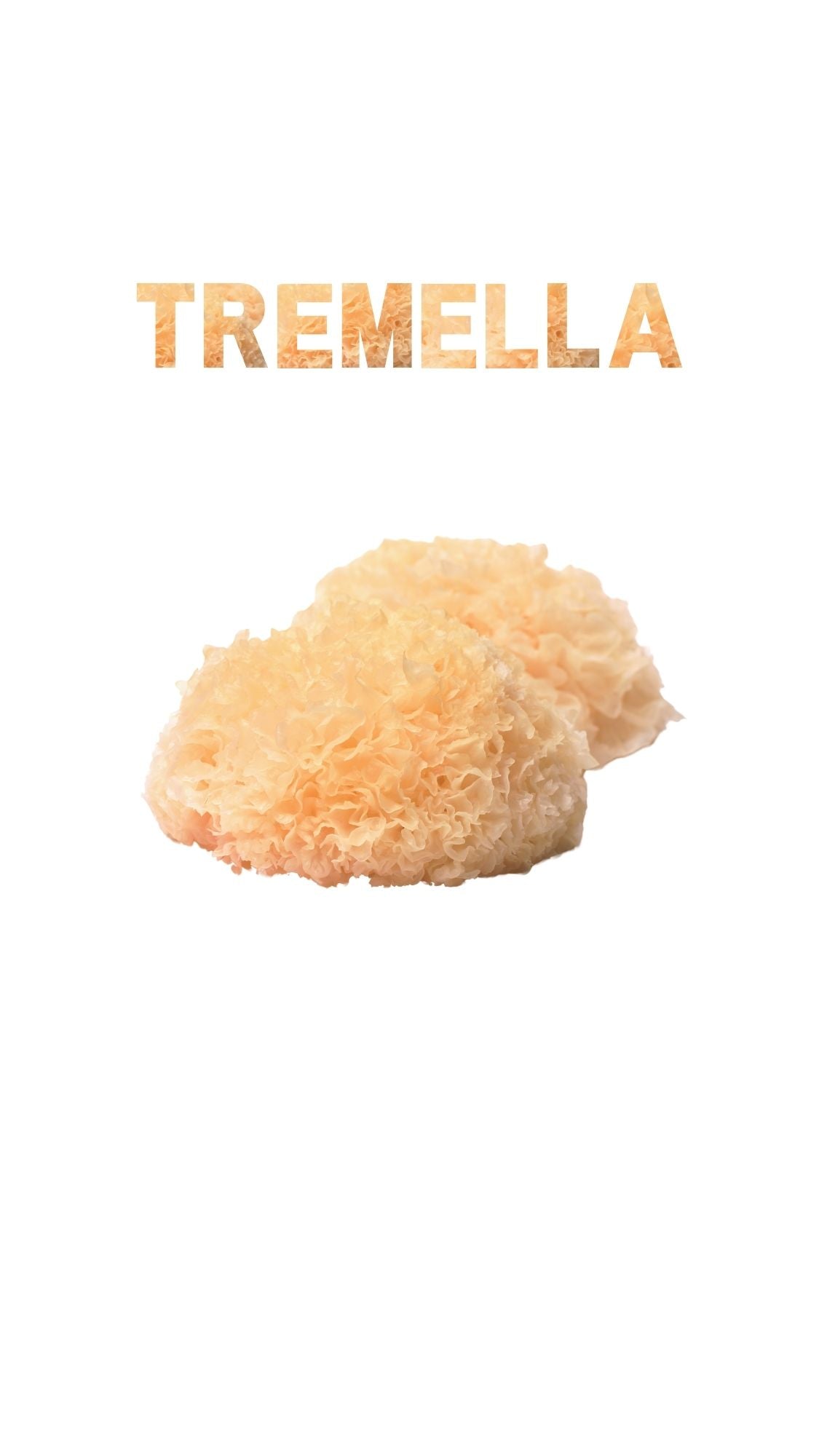Tremella mushroom with fluffy, coral-like structure on white background for skincare and hydration