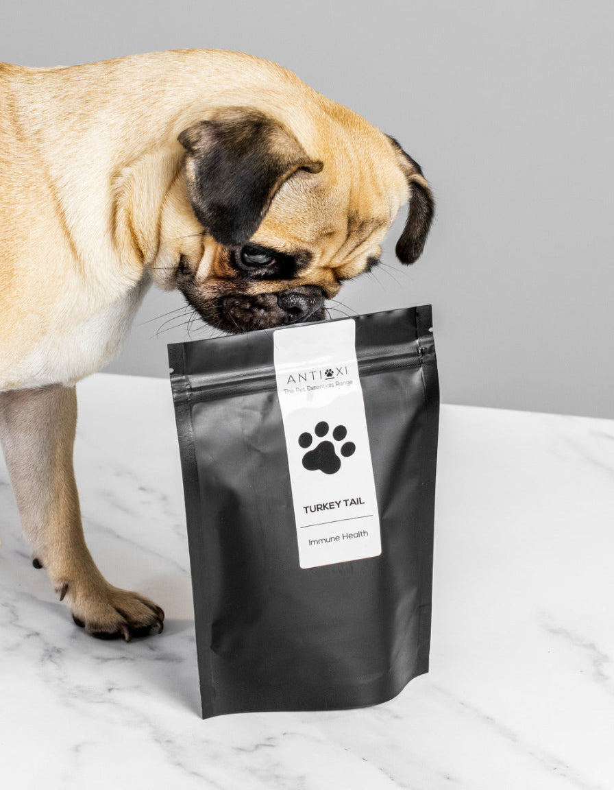 896 × 1152
• 1.37 MB