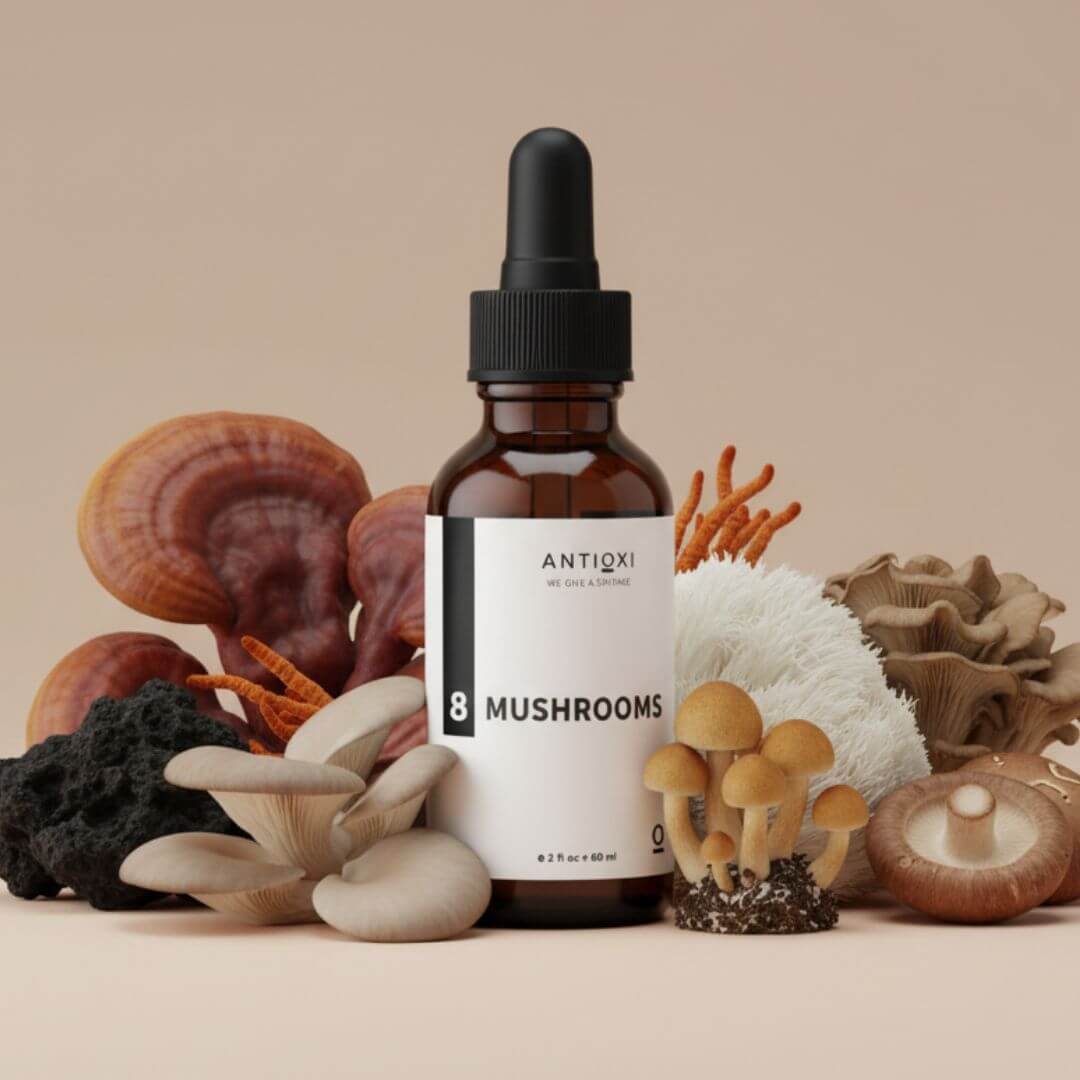 antioxi 8 mushroom blend tincture