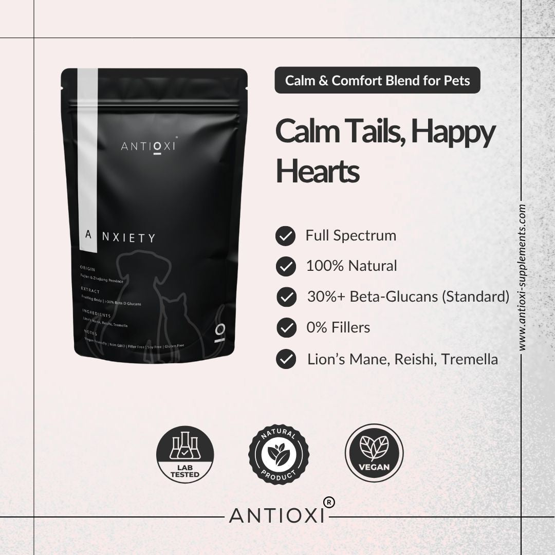 Calm & Comfort | Pets