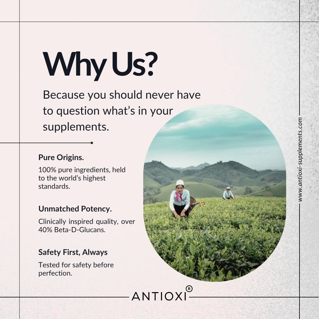 antioxi mushroom coffee origin & key facts