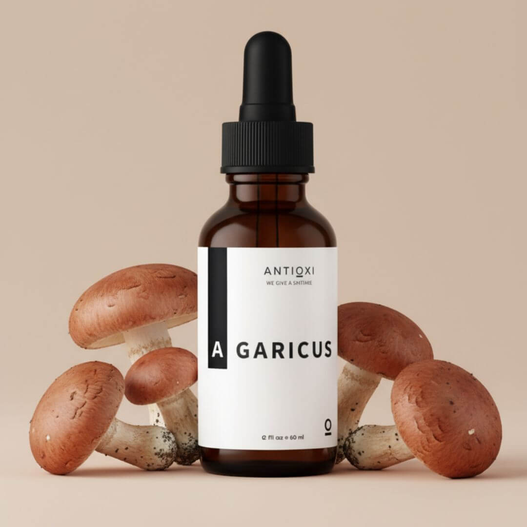 antioxi agaricus blazei mushroom tincture