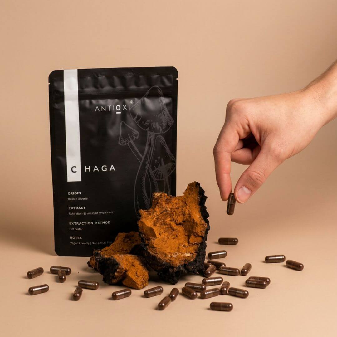 antioxi chaga mushroom capsules
