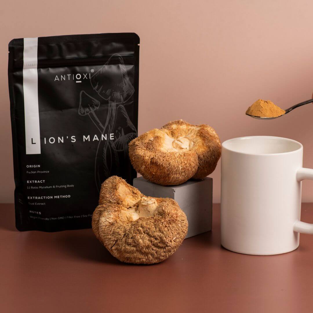 antioxi lion's mane mushroom supplement