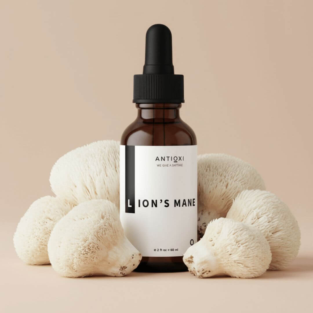 antioxi lion's mane mushroom tincture