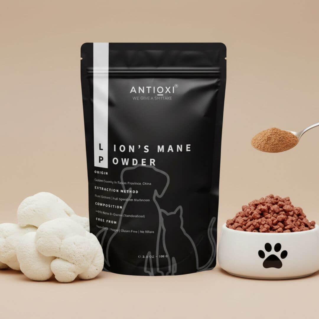 antioxi lion's mane powder for dogs and cats
