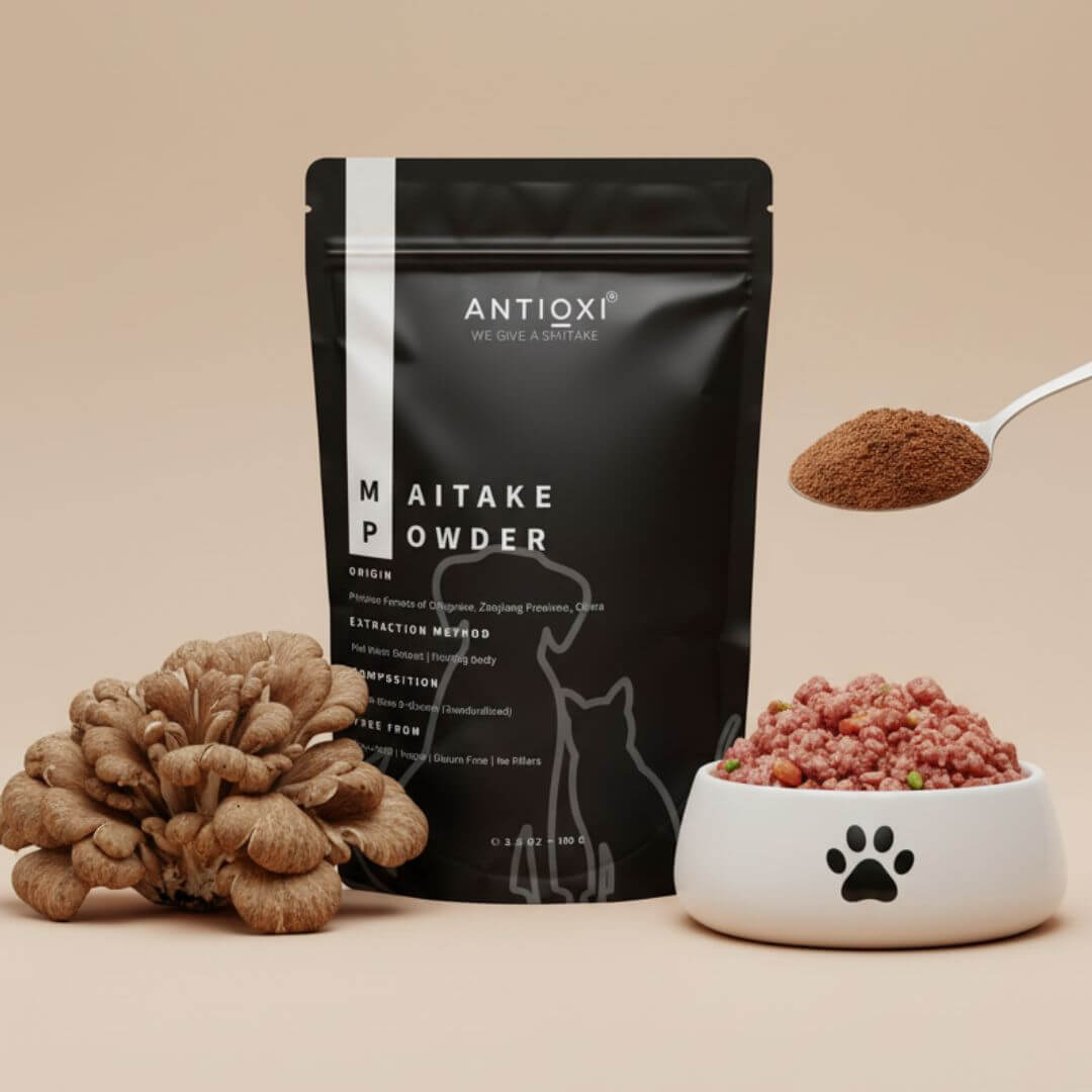 antioxi maitake mushroom powder for cats and dogs