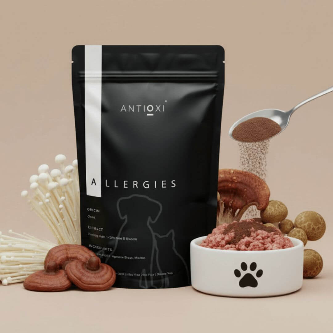 antioxi mushroom blend for dogs and cats with allergies