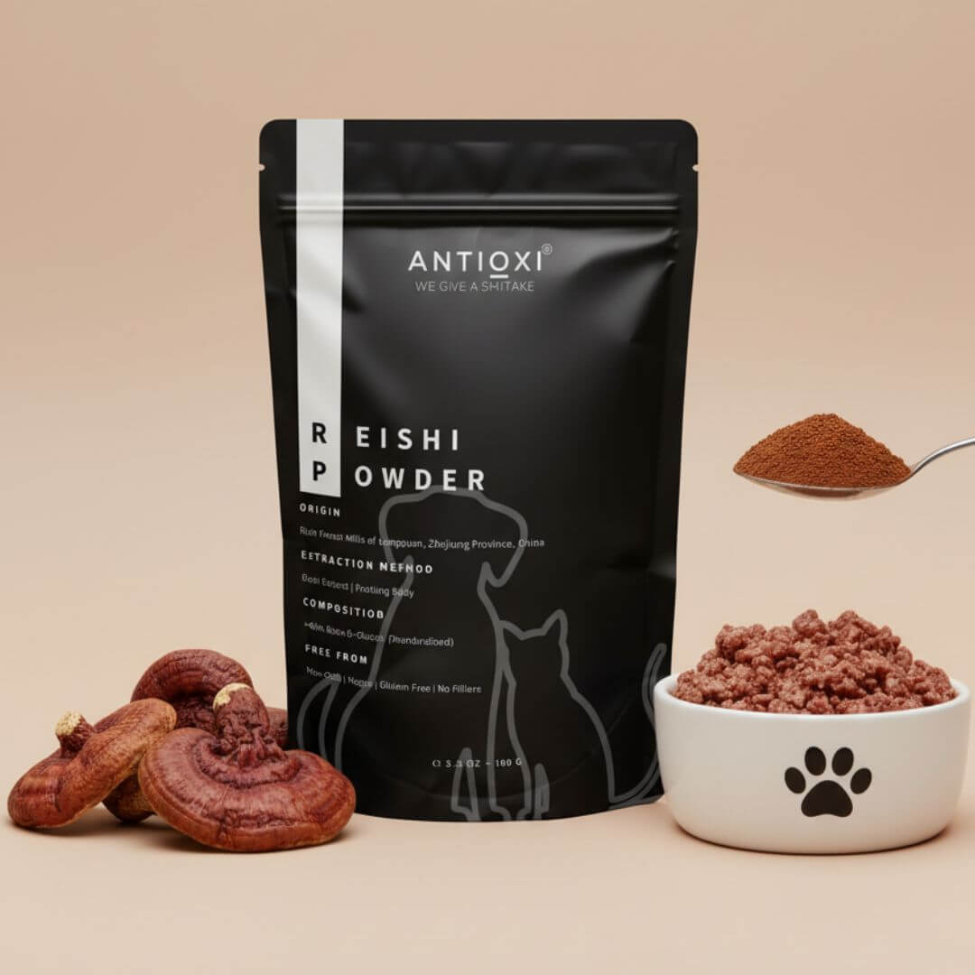 antioxi reishi mushroom powder for cats and dogs