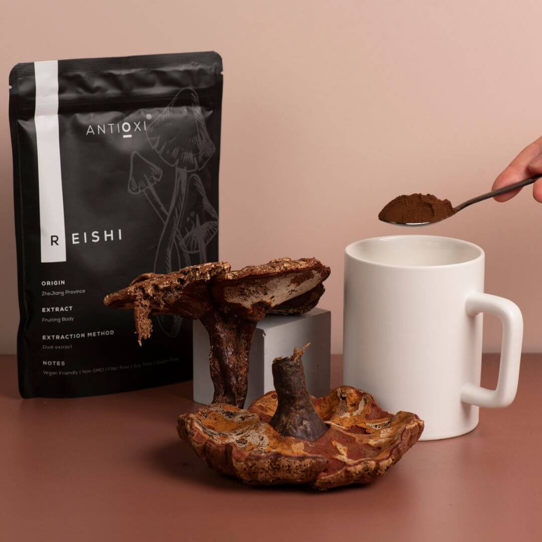 antioxi reishi mushroom supplement