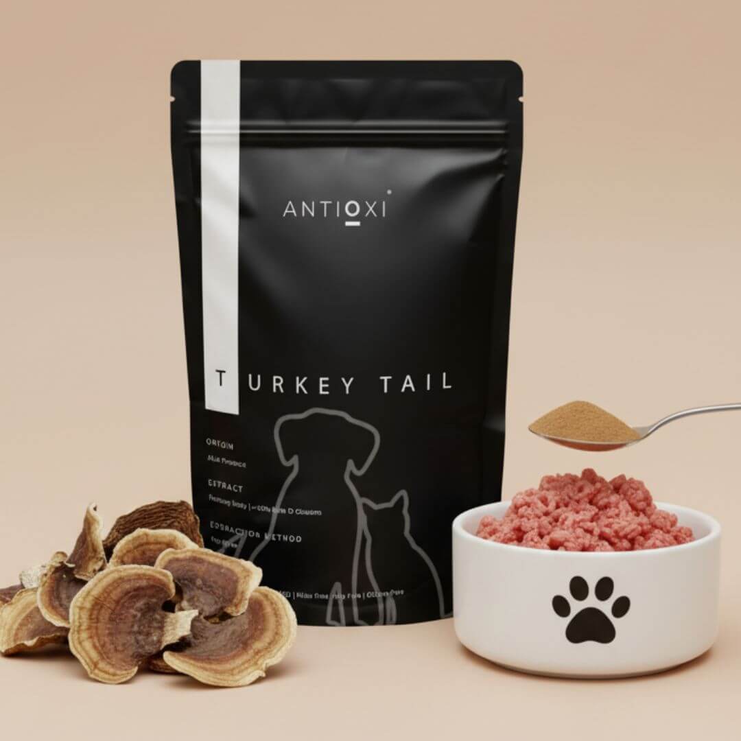 antioxi turkey tail for pets
