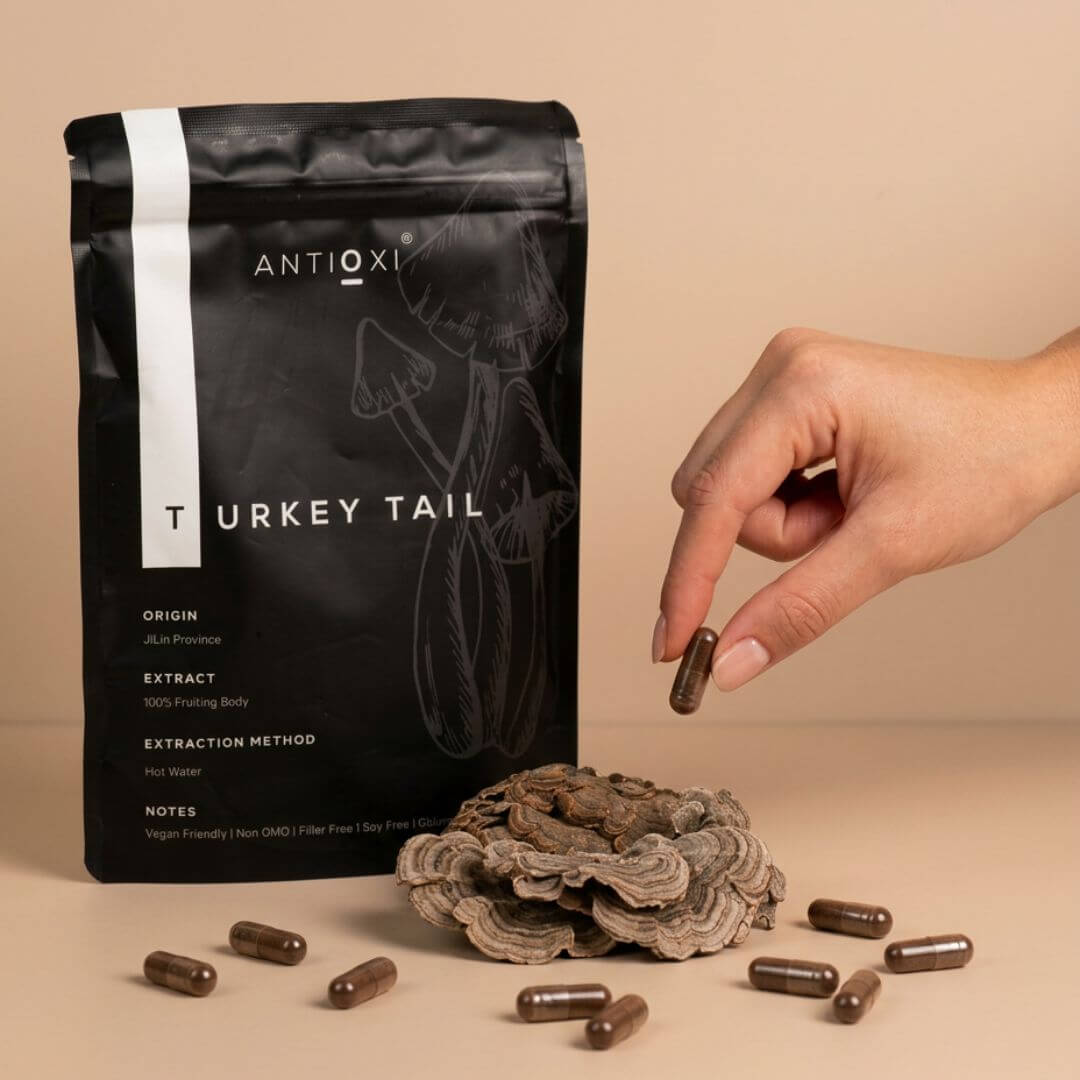 antioxi turkey tail mushroom capsules
