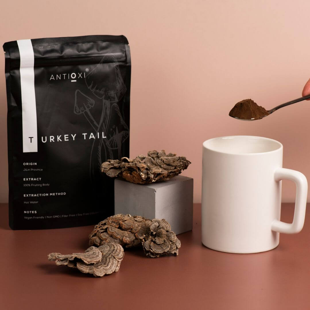 antioxi turkey tail mushroom supplement